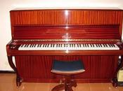 vuole pianoforte?