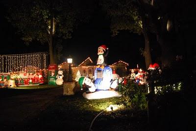 CANDY CANE LANE