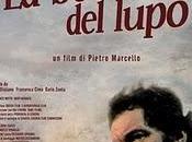 bocca lupo