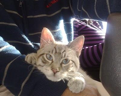 A STRABICHINO PIACE VIAGGIARE ...