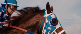 Review 2011 - Secretariat (Un anno da Ricordare)