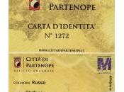 Città Partenope. seconda casa napoletani (onesti)