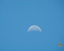 La luna del pmoeriggio vista da Walu Beach Resort - Mamanuca - Fiji