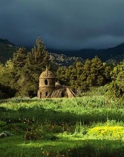 le opere di Patrick Dougherty imitano la natura