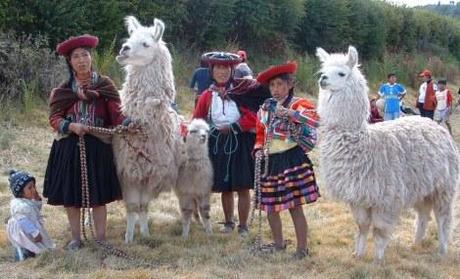 Guardate che benvenuto al Cuzco…