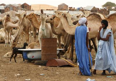 Sono in Mauritania…