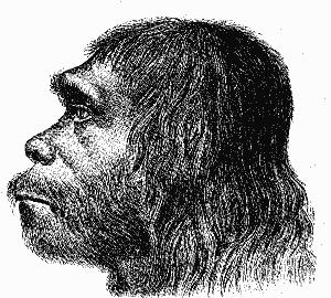 Omicidio di massa fra i Neanderthal