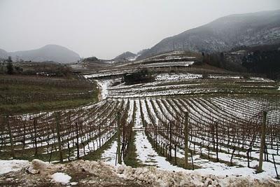 istituto agrario San Michele all'Adige