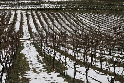 istituto agrario San Michele all'Adige