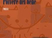 QUEL RESTA VERSO n.61: cifra vuoto, l’onore silenzio. Giacomo Leronni, “Polvere bene”