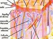 Prendiamoci cura della nostra pelle