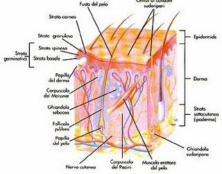 Prendiamoci cura della nostra pelle