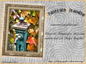 Vincitori del III Concorso Fotografico [Autunno]