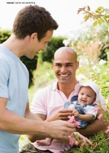 Il Brasile legalizza la fecondazione in vitro anche per le coppie gay