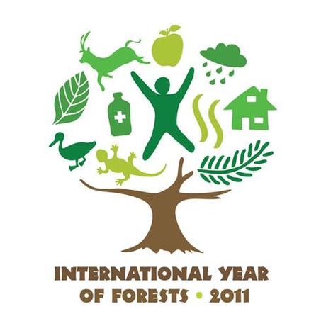 2011. Anno Internazionale delle Foreste