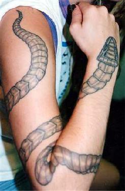 Snake tattoos si-no