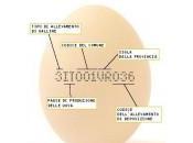 Uova alla diossina: ecco come riconoscere quelle buone. Guida lettura dell'etichetta!