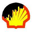 Shell Delta Niger: petrolio diritti rubati