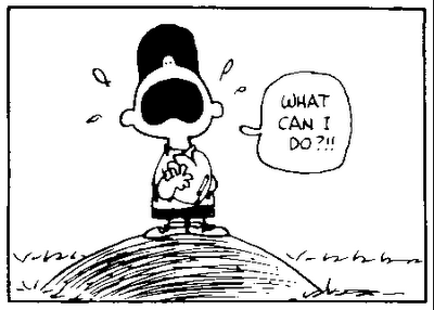 Ordinaria amministrazione