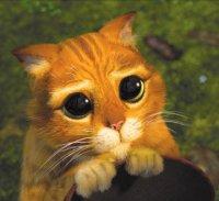 Haul della Befana: Madina e MAC!