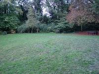 HOLLAND PARK. Una passeggiata in un parco meno conosciuto di Londra, ma non per questo meno affascinante...