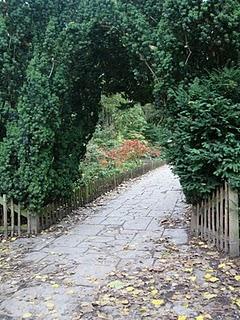 HOLLAND PARK. Una passeggiata in un parco meno conosciuto di Londra, ma non per questo meno affascinante...