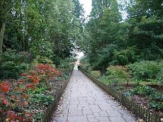 HOLLAND PARK. Una passeggiata in un parco meno conosciuto di Londra, ma non per questo meno affascinante...