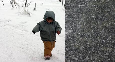 il silenzio bianco...