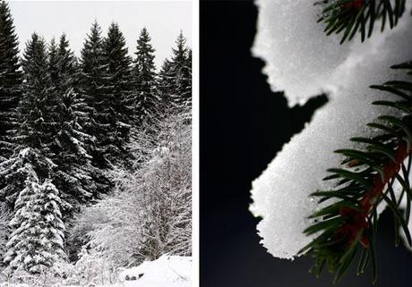 il silenzio bianco...