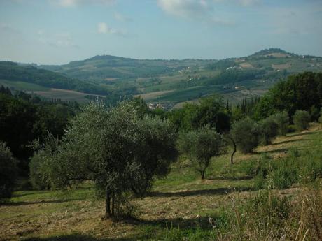 Extravergine Toscana: via alla selezione regionale