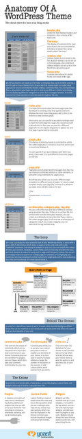 Anatomia di un tema per WordPress in un info-grafico