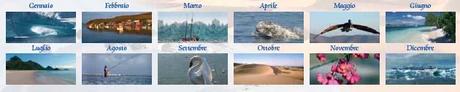 2011: un anno di Volontariato e Solidarietà con il Calendario Padì A.R.T.