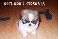 Bruuuuuuuutta giornata!!!!