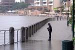 Photo of Brisbane floods taken from Quay Terraces, near the Story Bridge. Photo: Vicki Wagenmakers