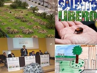 Le vostre proposte per salvare le Palme del Salento leccese