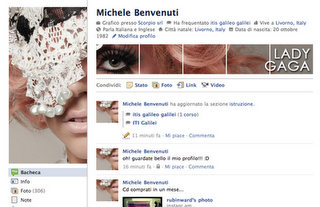 La febbre fa male // Facebook e la nuova skin