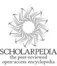 scholarpedia