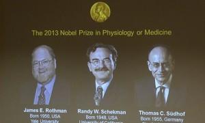 Premio Nobel 2013, assegnati i premi per la Medicina, Fisica, Chimica: domani sarà il turno della Letteratura