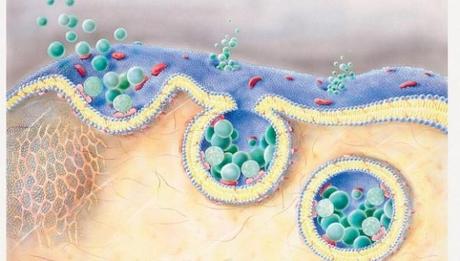 Nobel per la Medicina a tre biologi