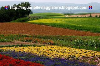 Un inguaribile viaggiatore in Giappone – Hokkaido