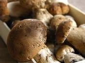 Funghi cocotte.