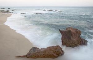 Mare in Baja California mare