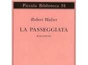 Passeggiata Robert Walser. Recensione