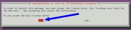 Installazione font MS - seconda accettazione licenza