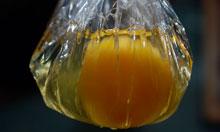 Poaching egg in clingfilm