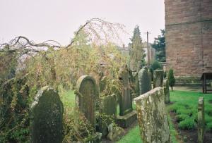 amanda stevens -old cemetery