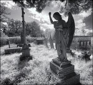 amanda stevens - old cemetery+angel
