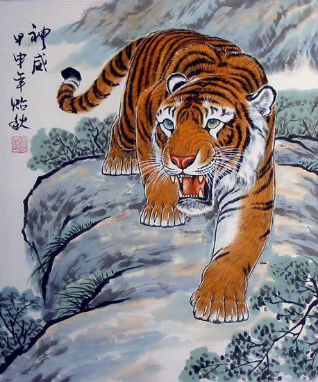 Chinese-tiger