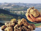 Piemonte eccellenze.
