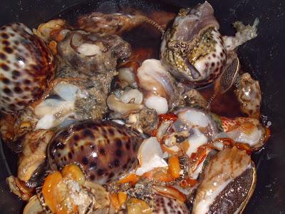 Viaggi in Indonesia: ricci, conchiglie, vongole